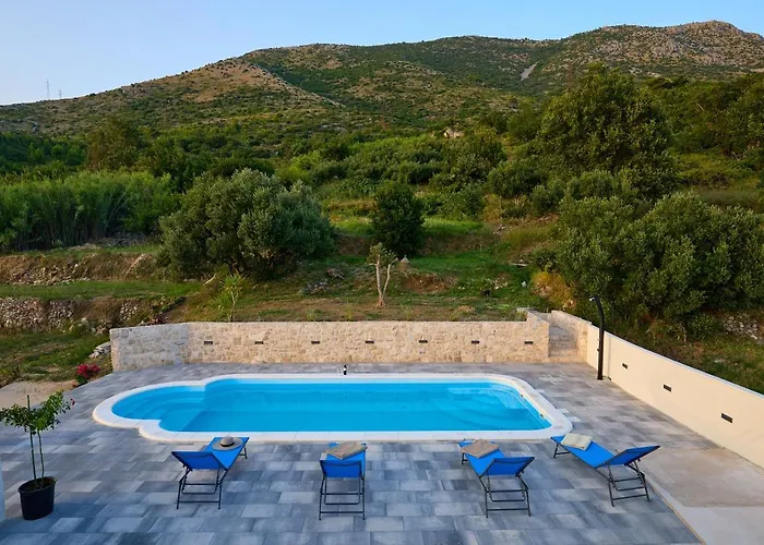 Mia Maria * 察夫塔特